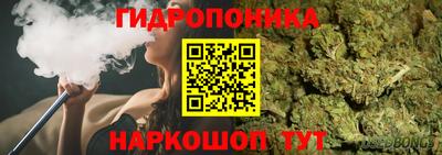 хмурый Жуковский