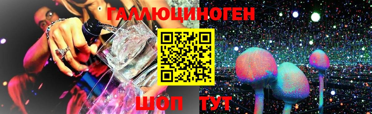 где купить   Галлюциногенные грибы мухоморы  Вход с VPN  Канаш 